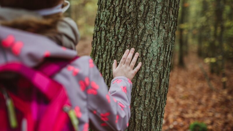 Hand Am Baum