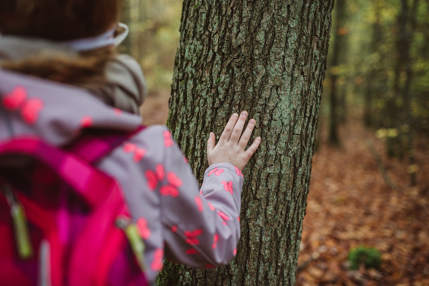 Hand am Baum