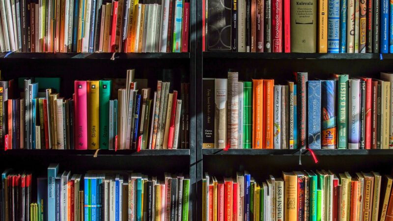 Bücherregal
